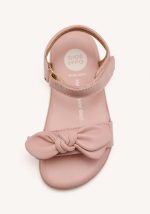 b75345_rosa_03